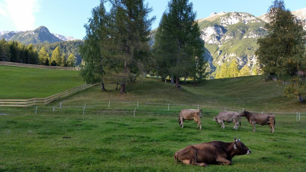 Ferienwohnungen Rauth Leutasch Exteriör bild